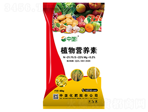 ֲ��I(y��ng)�B(y��ng)��-�Љ�