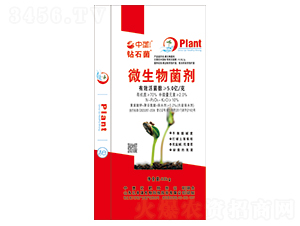 ΢�������-�@ʯ��-�Љ�