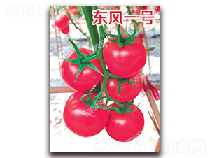 �|�L(f��ng)һ̖(h��o)-�۹����ѷN��-�ϰľG��