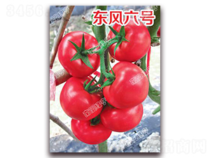 �|�L(f��ng)��̖(h��o)-�۹����ѷN��-�ϰľG��