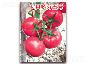 ؐ�����̖(h��o)-�۹����ѷN��-�ϰľG��