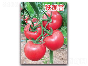 �F�^��-�۹����ѷN��-�ϰľG��