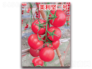 ������(ji��n)��̖(h��o)-�۹����ѷN��-�ϰľG��