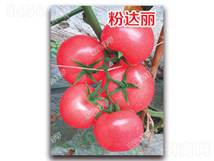 ���_(d��)��-�۹����ѷN��-�ϰľG��