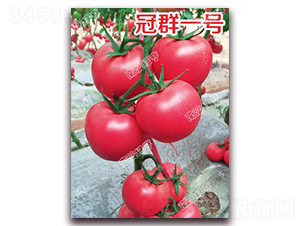 ��Ⱥһ̖(h��o)-�۹����ѷN��-�ϰľG��