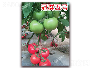 ��Ⱥ��̖(h��o)-�۹����ѷN��-�ϰľG��