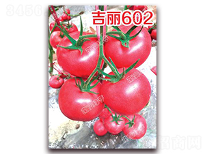 ����602-�۹����ѷN��-�ϰľG��