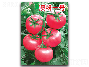 �ķ�һ̖(h��o)-�۹����ѷN��-�ϰľG��