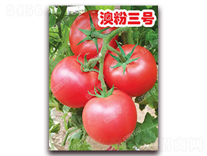 �ķ���̖(h��o)-�۹����ѷN��-�ϰľG��