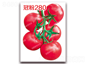 �ڷ�280-�۹����ѷN��-�ϰľG��