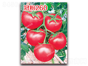 �ڷ�260-�۹����ѷN��-�ϰľG��