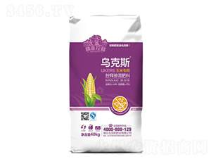 ���׌�(zhu��n)�ÿ�ጓ������26-12-16-����˹