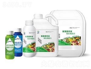 ΢�弚(x��)���I�B(y��ng)Һ-������