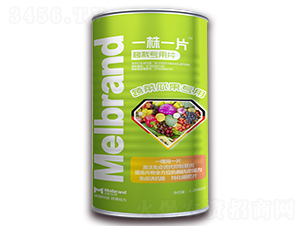 �߲˹Ϲ���������Ƭ-һ��һƬ-���괺