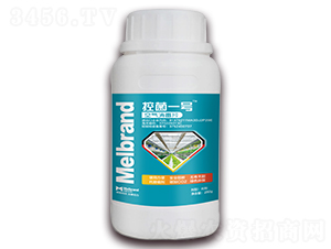 �՚�����Ƭ-�ؾ�һ̖-���괺