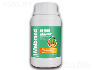 200ml�Ǵ��-���괺