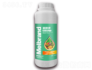 1000ml�Ǵ��-���괺