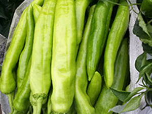 �⽷�N��-�̝�(r��n)�N��