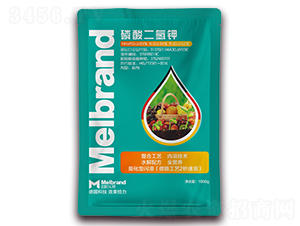 1000ml��������-���괺