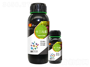 ʮ��Ԫ��-�T���S����