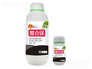 �����V��-�T���S����