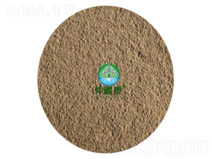 ���ϔM��ù��10�|-g��-����Ȫ