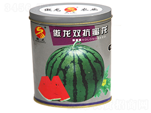 �����p������-���ϷN��-����