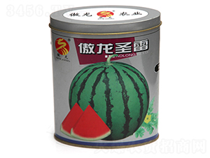 ����ʥ��-���ϷN��-����