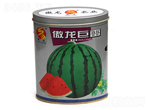 ��������-���ϷN��-����