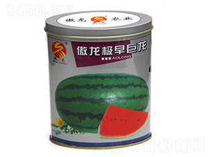 �����O�����-���ϷN��-����