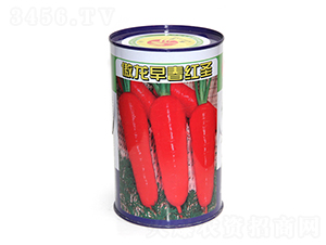 ����?zh��)ؼ?j��)���t-�t�}���N��-����