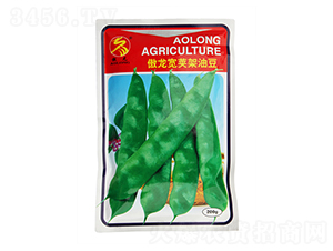 �������v���Ͷ�-�Ͷ��N��-����