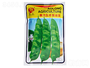 �������S���Ͷ�-�Ͷ��N��-����