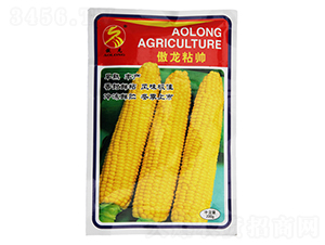 ����ճ��-���׷N��-����