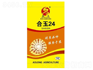 ����24-���׷N��-����