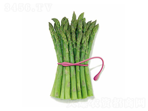 ���m��F1-�J�S�N��-��T�S�r(n��ng)�I(y��)