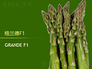 ���m��F1-�J�S�N��-��T�S�r(n��ng)�I(y��)