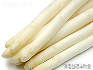 ���S��F1-�J�S�N��-��T�S�r(n��ng)�I(y��)