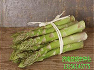 ����ȫ��-�J�S�N��-��T�S�r(n��ng)�I(y��)