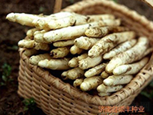 ��܊һ̖-�J�S�N��-��T�S�r(n��ng)�I(y��)