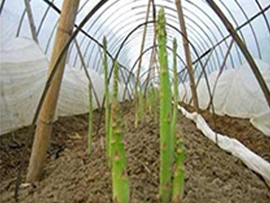 �S�u5̖F1-�J�S�N��-��T�S�r(n��ng)�I(y��)