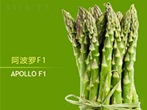 �����_F1-�J�S�N��-��T�S�r(n��ng)�I(y��)