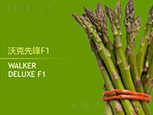 �ֿ����hF1-�J�S�N��-��T�S�r(n��ng)�I(y��)