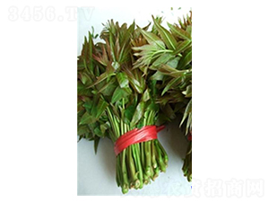 �㴻�N��-��T�S�r(n��ng)�I(y��)