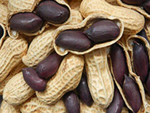 �����ڻ���-�����N��-��T�S�r�I(y��)