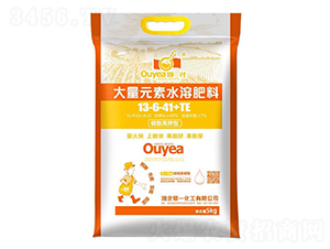 ����Ԫ��ˮ�ܷ���13-6-41+TE-��һ����