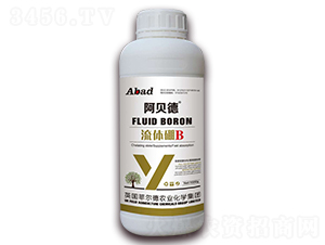 ���w��B(y��ng)-��ؐ��-�Ɲ��r��