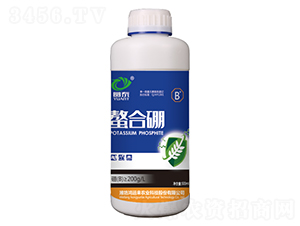 ������-�A̩-���\��