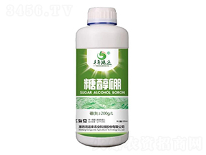 �Ǵ���-�S�����\