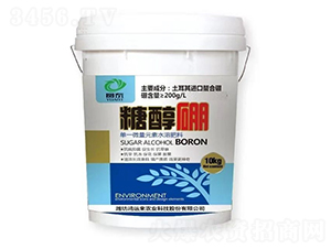 �Ǵ���-�A̩-���\��